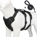 MotionFit Harness