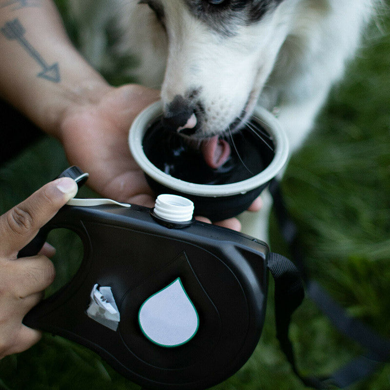 3-in-1 Dog Leash (Leash + Water Bottle + Waste Bag Dispenser)