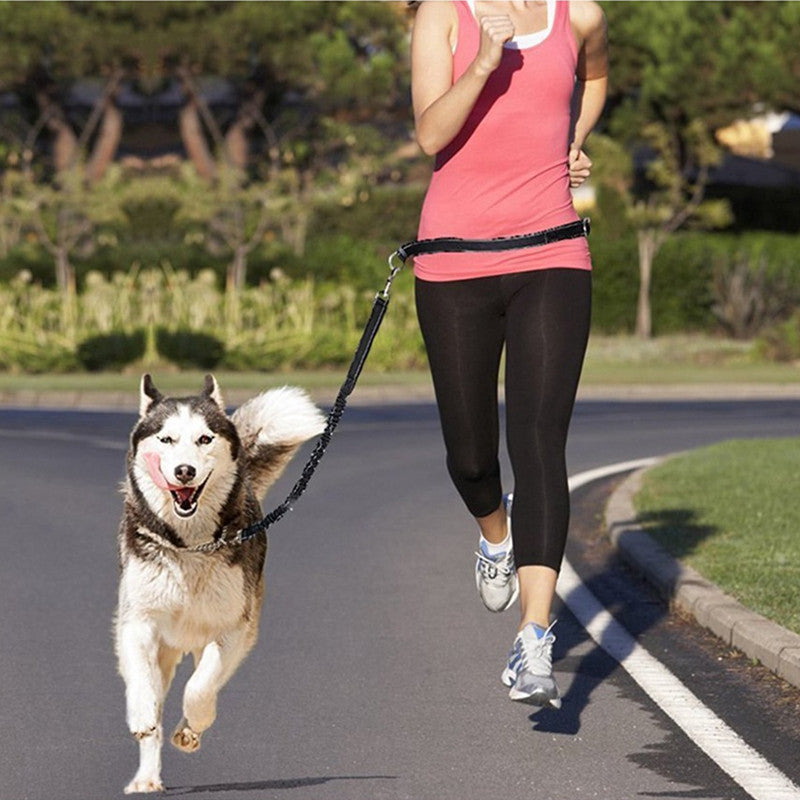 DuoFlex No-Tangle Dog Leash