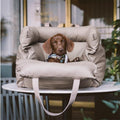 PawPod Travel Seat