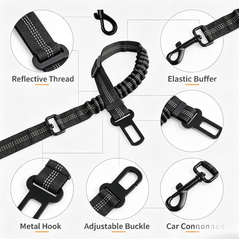 Adjustable length dog car restraint