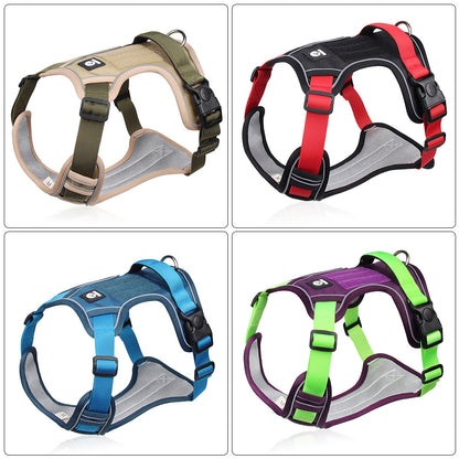 MotionFit Harness
