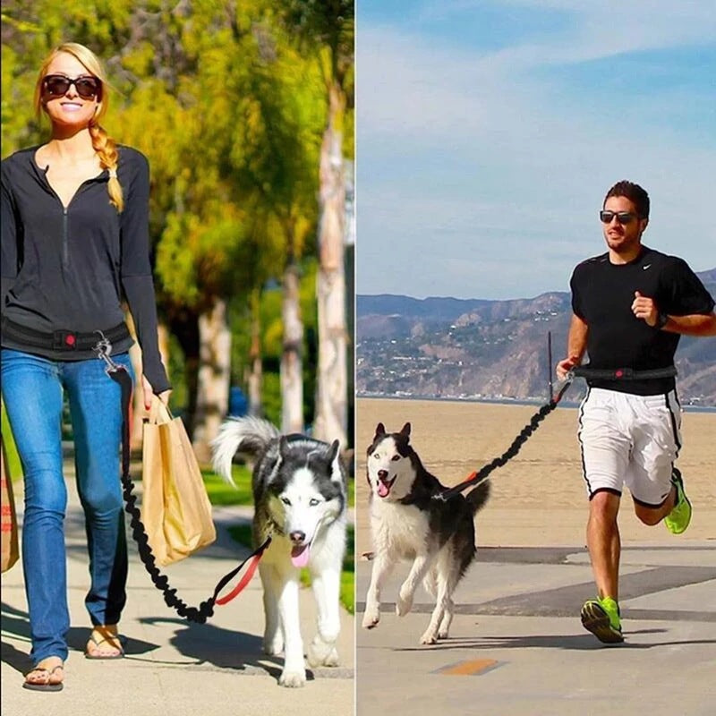 DuoFlex No-Tangle Dog Leash