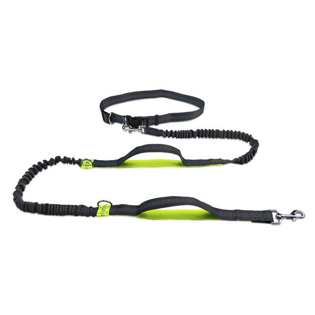 DuoFlex No-Tangle Dog Leash