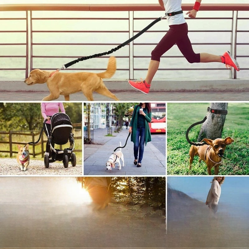 DuoFlex No-Tangle Dog Leash