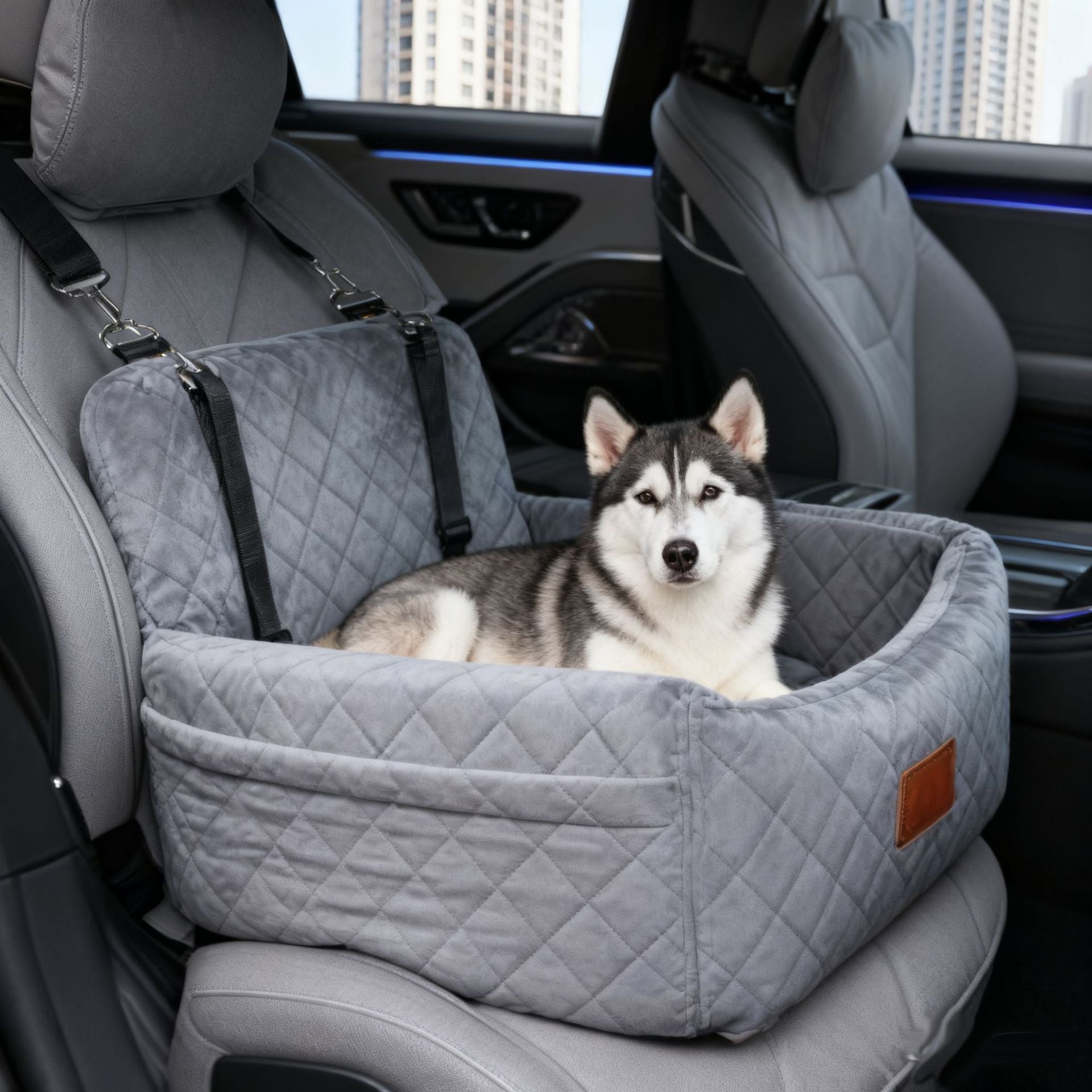 Dog in a gray car seat booster in a vehicle