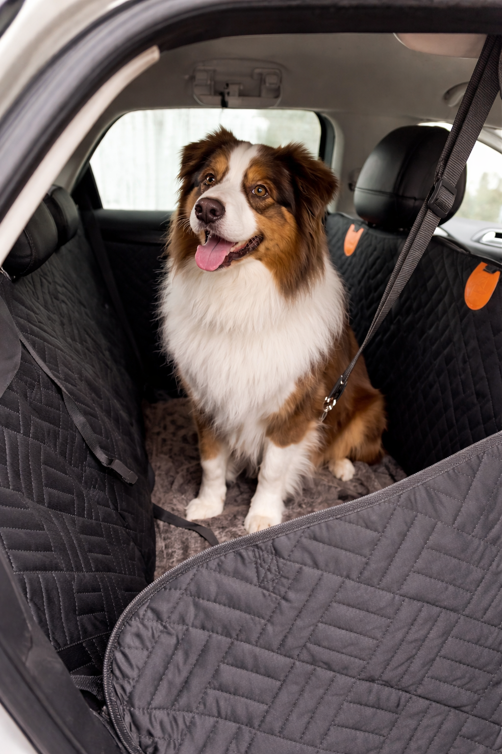 Dog sitting in a car with a pet seat cover on the back seat.