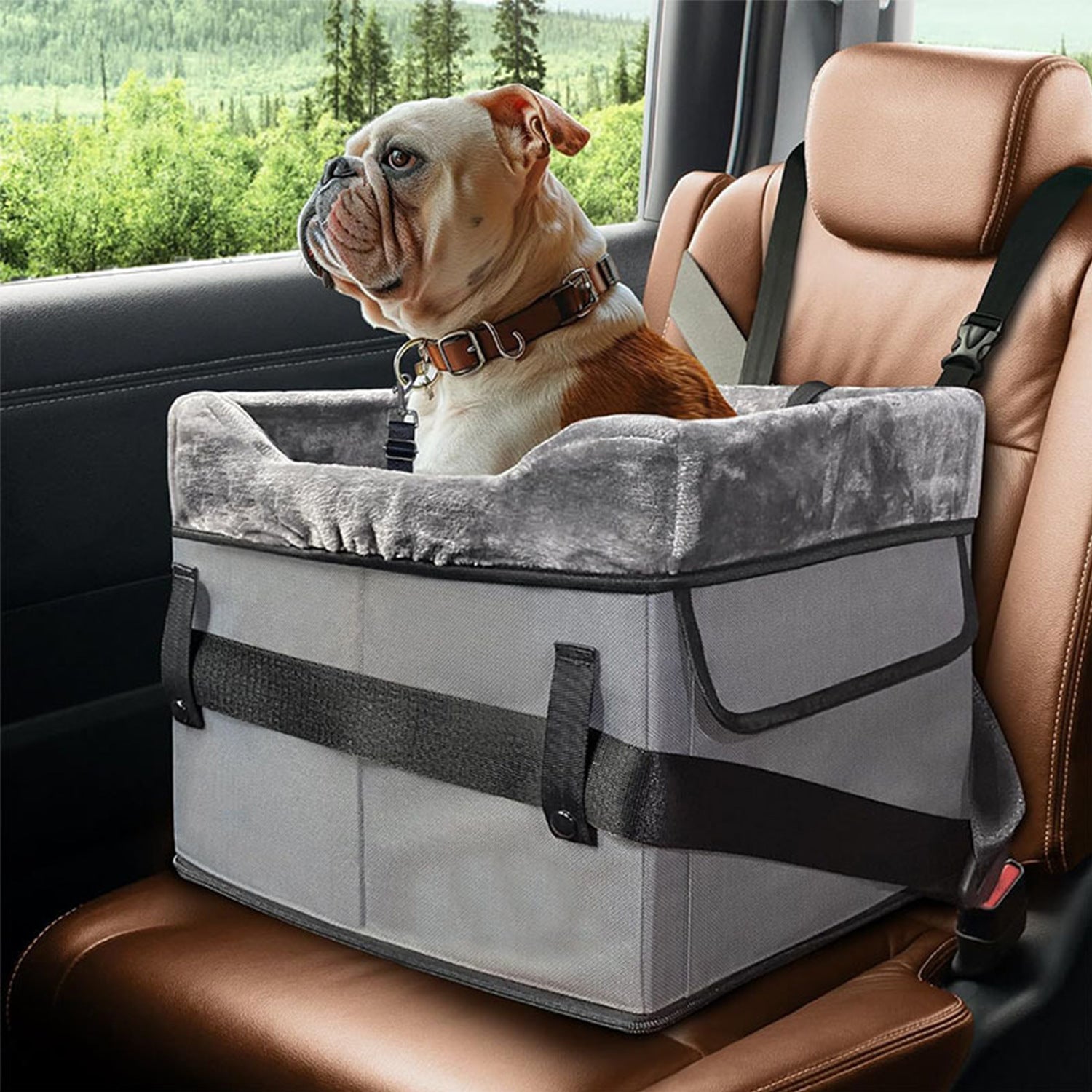 Dog sitting in a gray pet seat in a car with a scenic background