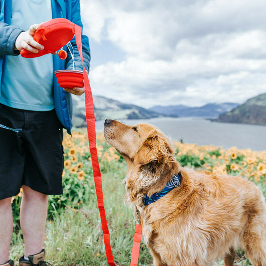 3-in-1 Dog Leash (Leash + Water Bottle + Waste Bag Dispenser)