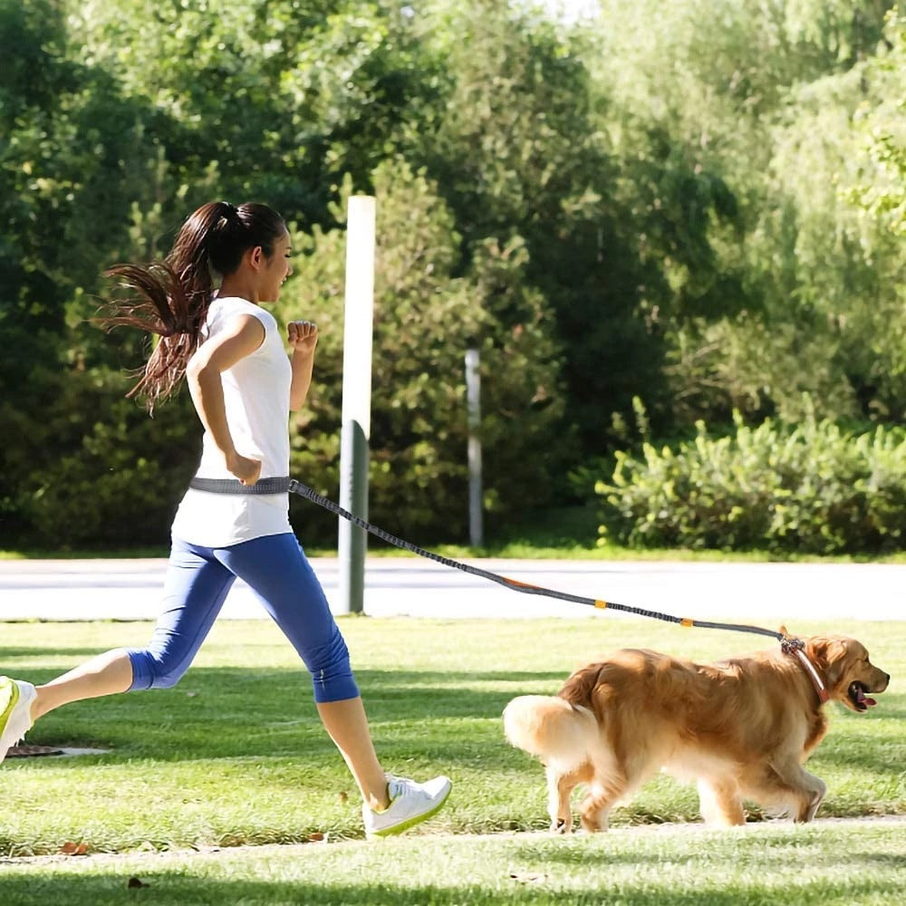 DuoFlex No-Tangle Dog Leash