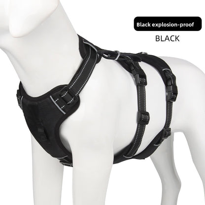 MotionFit Harness