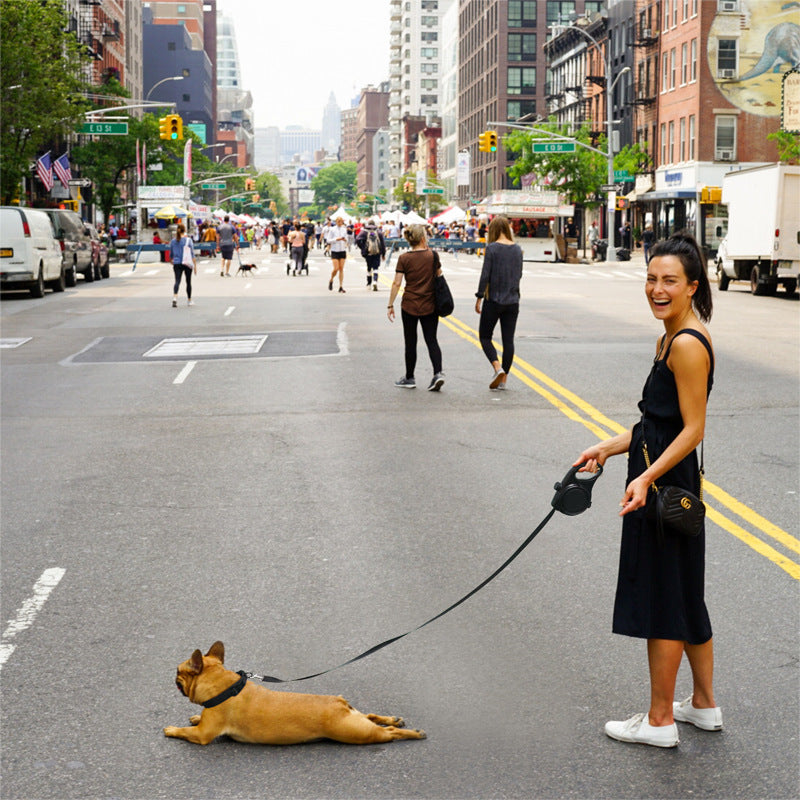 3-in-1 Dog Leash (Leash + Water Bottle + Waste Bag Dispenser)