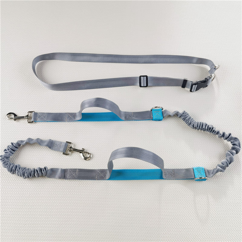 DuoFlex No-Tangle Dog Leash
